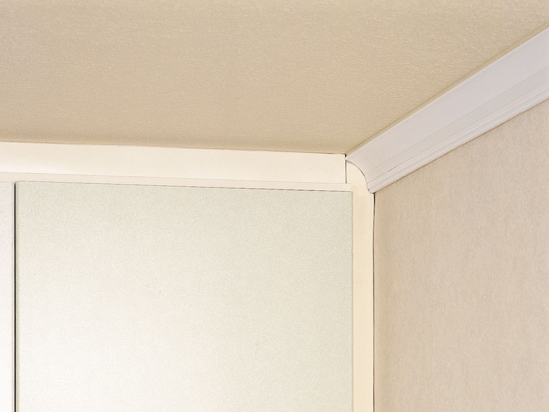 部屋の天井や壁のカビの掃除の方法 掃除方法を詳説 掃除の品格
